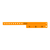 Neon Orange