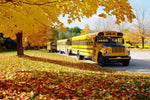 Tips On Creating Custom Wristbands for Your Fall School Programs