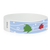 Tropical Fish