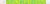 Neon Cheetah