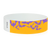 Purple Bats