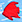 Tropical Fish