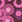 Holo Pink